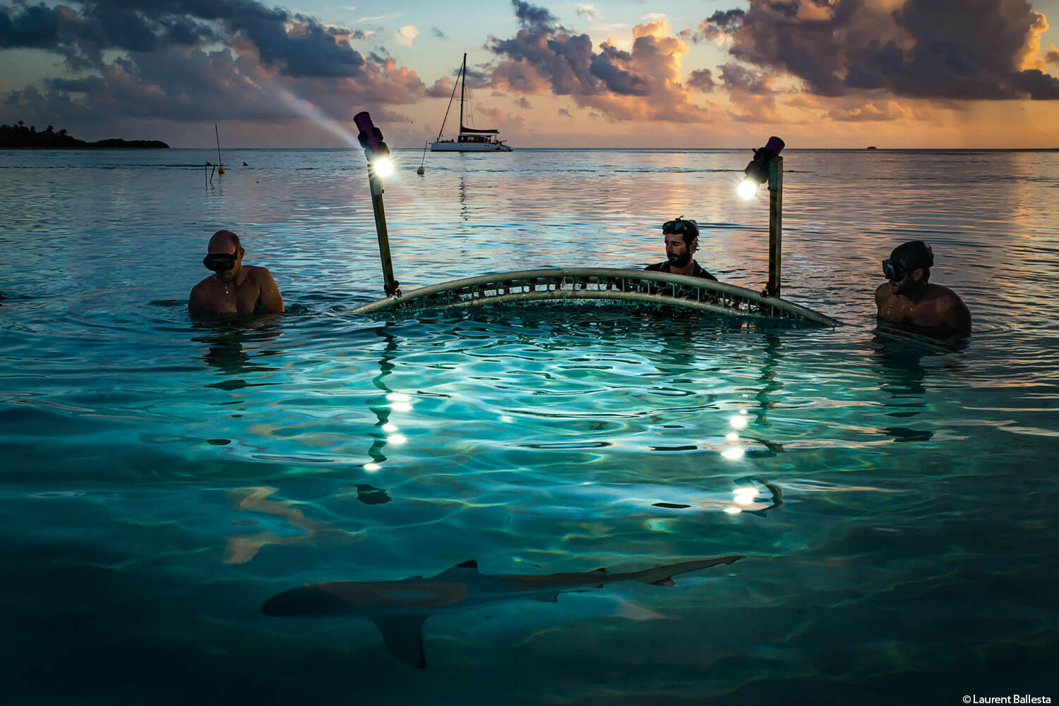 Drei Männer spät abends an der Meeresoberfläche beobachten einen Hai